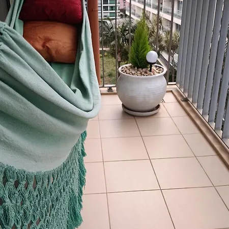 Palms * Фуншал