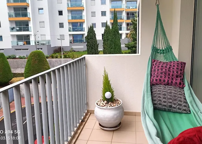 Palms * Funchal (Madeira)