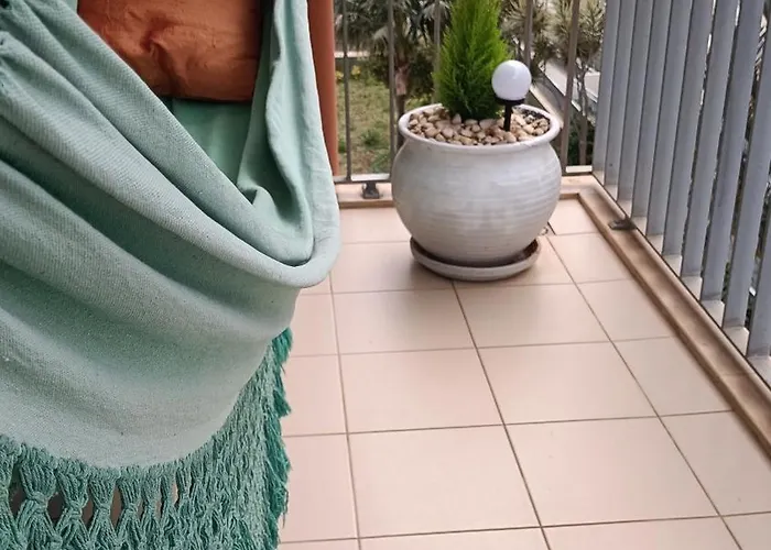 Palms * Funchal (Madeira)